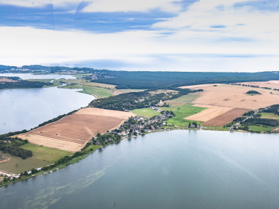 simone-grams-alt-reddevitz