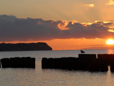 simone-grams-dranske-blick-hiddensee
