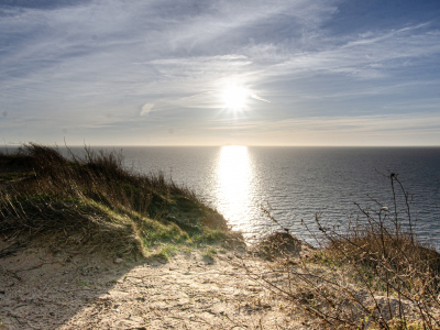 ssimone-grams-kleinzicker-impression