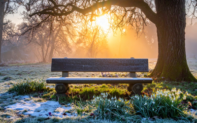 Garten planen im Winter
