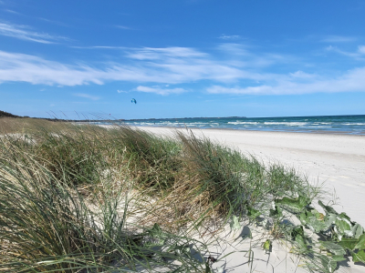 simone-grams-strand-juliusruh