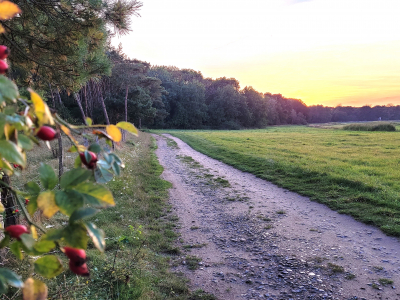 Mit Klarheit den richtigen Weg finden
